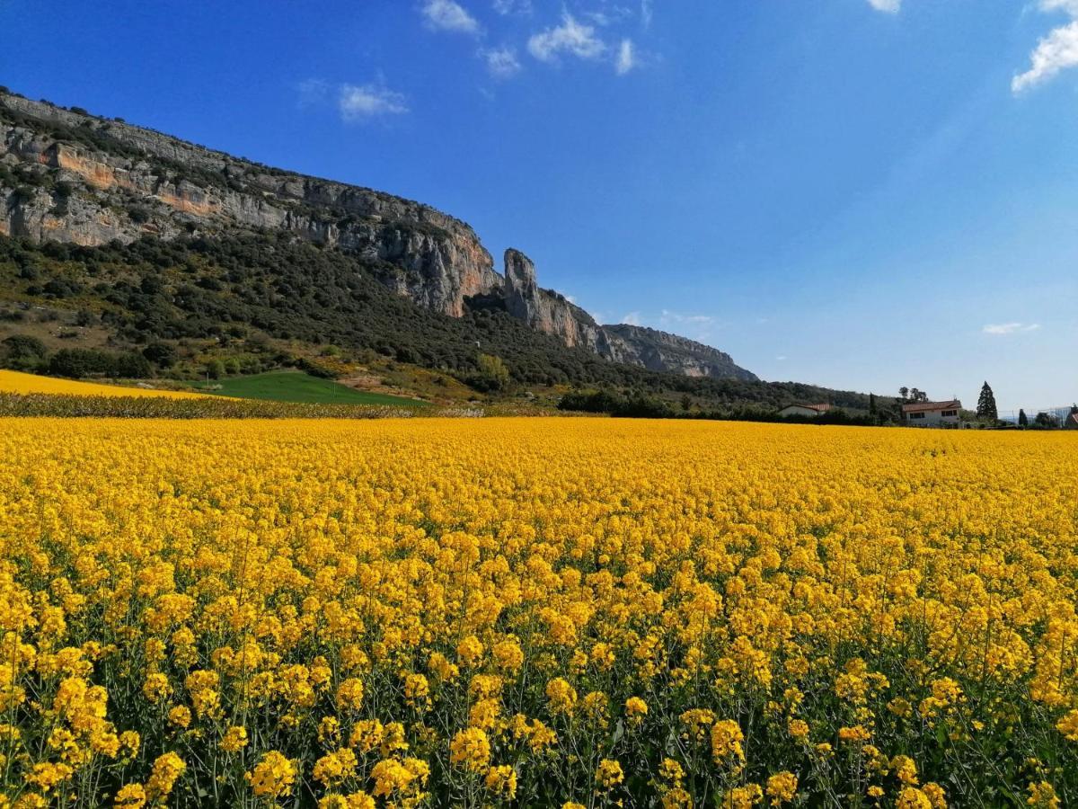 Casa Rural Ibarbegi II Apartment Vidaurreta ภายนอก รูปภาพ